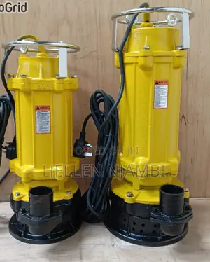 Max 3hp Polar Submersible Sewer Pump(2" Outlet 310l/Ht)