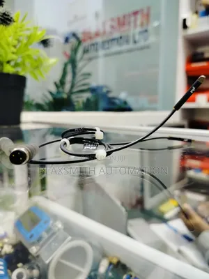 Magnetic (Reed) Sensor