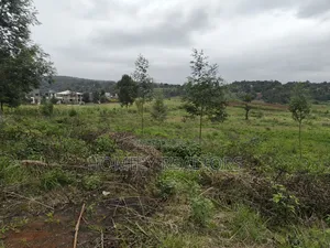 Eighth Acre Plot in Kerarapon Drive, Ngong 100m From Tarmac