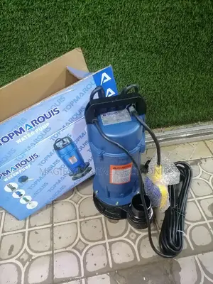 Most Appropriate 2" Marquis Submersible Pump