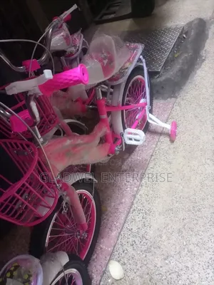 Size 16 Pink Bike For Girls