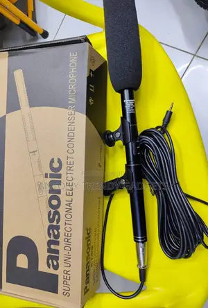Panasonic Uni-Directional Mic – Condenser Audio Recorder