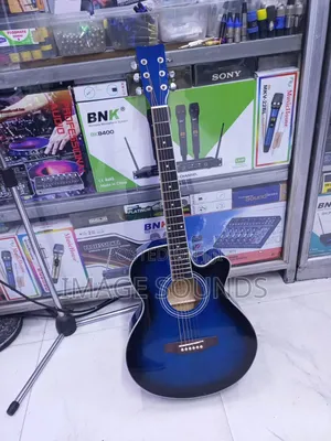 Acoustic Guitar 40inch R-40 (Blue)
