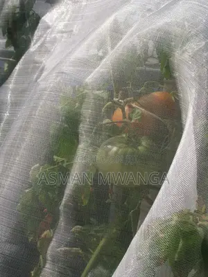 Pollination Netting 4m×50m