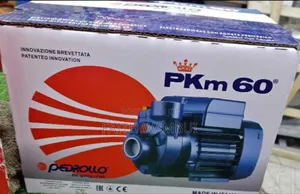 Quality Pedrollo Booster Pump/Booster Pump 0.5hp
