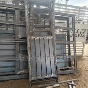 Premium Steel Door