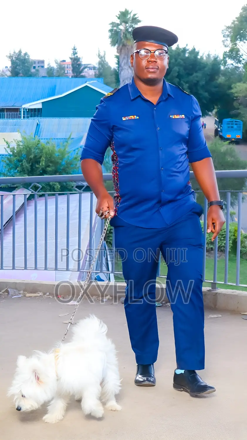 Ubber Driver / Personal Driver