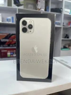 Apple iPhone 13 Pro 256 GB Silver