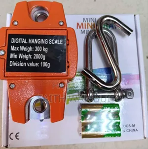 New Portable 300kg Crane Scale/300kg Weighing Scale