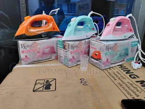 Steam Iron Box, Roch Steam Iron Box