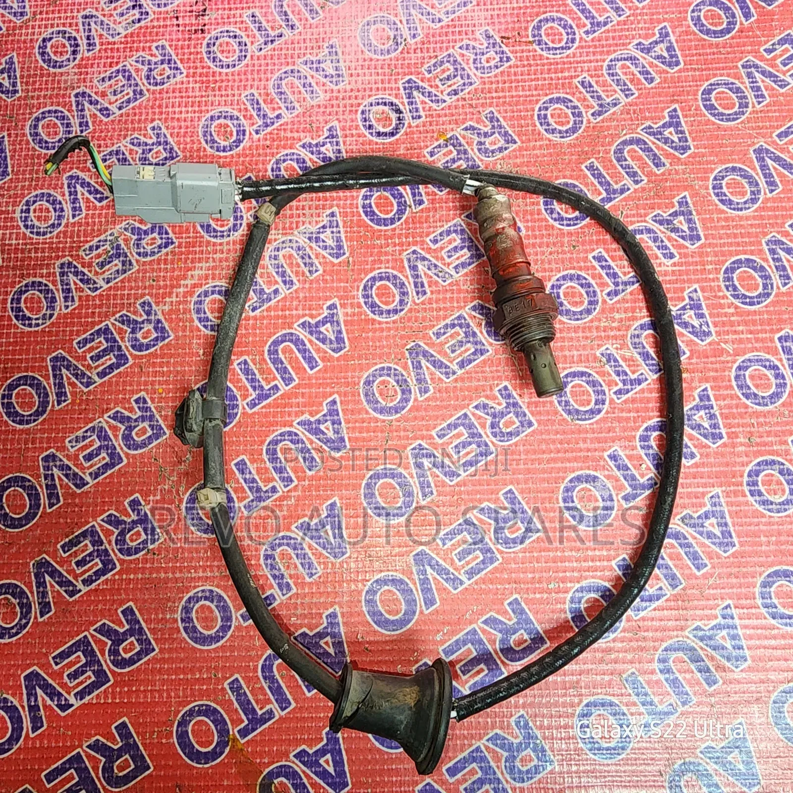Oxygen Sensor Axio/Fielder