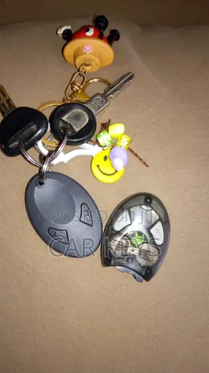 Damaged Alarm Remote Repair