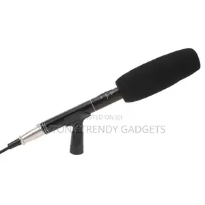 Panasonic Interview Mic – Condenser Uni-directional Pickup