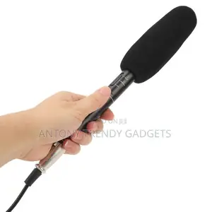 Panasonic Broadcast Mic – Long Range Audio Capture Mic