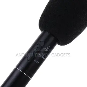Panasonic Condenser Mic – Super Directional Voice Recorder