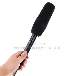 Panasonic Professional Mic Long Range Uni-Directional Audio