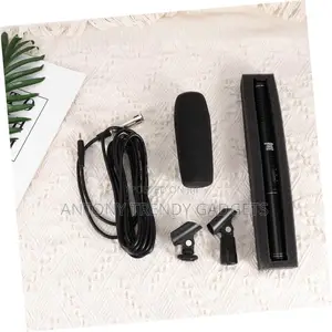 Uni-Directional Panasonic Mic– Interview Broadcast Audio