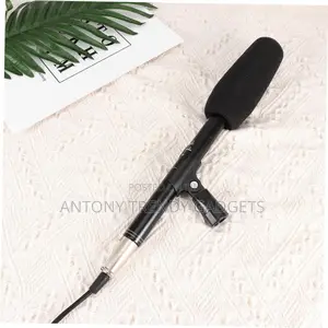 Panasonic Audio Mic – High Sensitivity Condenser for DSLR