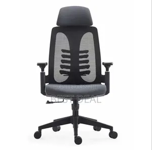 High Back Mesh Orthopedic Chair With Lumber Support