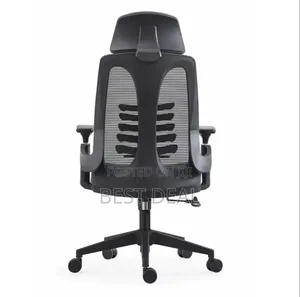 High Back Mesh Orthopedic Chair With Lumber Support
