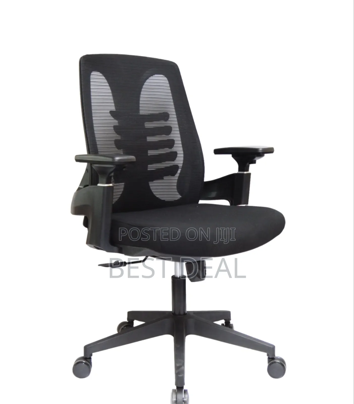 Lama Orthopedic Chair