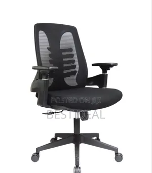 Lama Orthopedic Chair