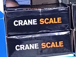 300kg Digital Weighing Scale/Weighing Crane Scale 300kg