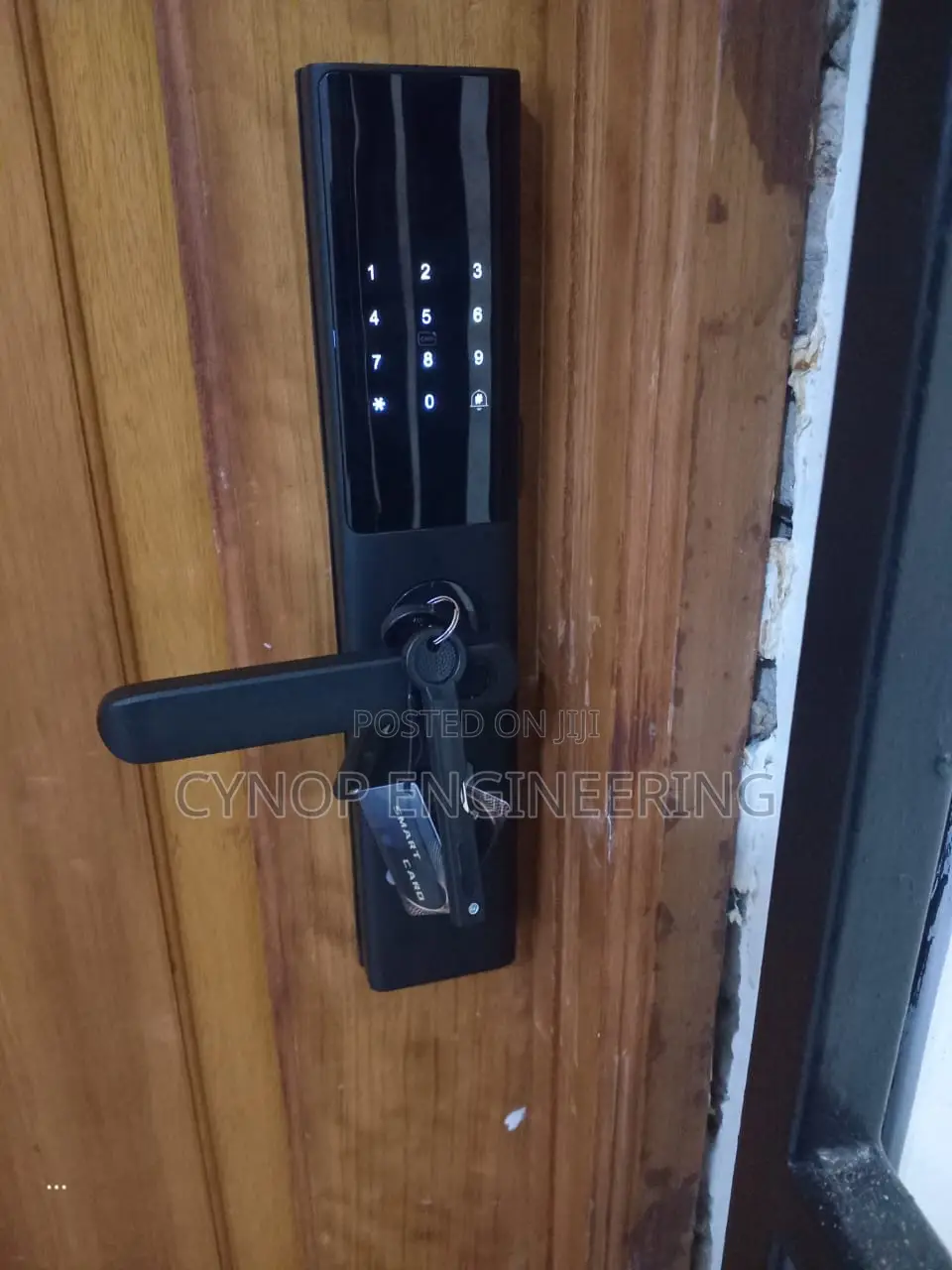 Remote Easy Unlocking Smart Locks