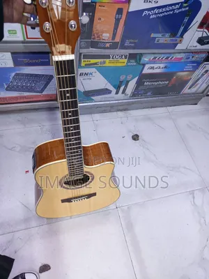 F3000 Model 41inch Size Semi-Acoustic