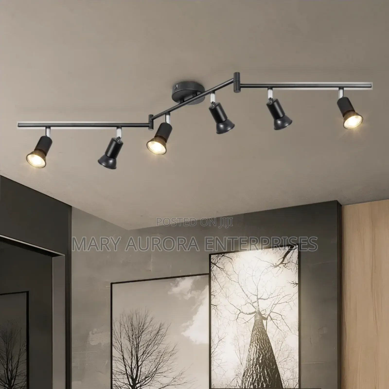Ceiling Lights Inclusive of Bulbs