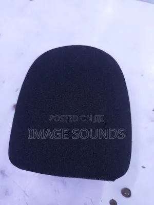 Studio Mic Sponge