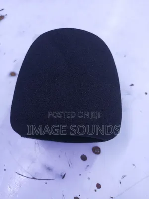 Recording/ Condenser Microphones Sponge