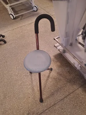 Walking Stick With Seat* 