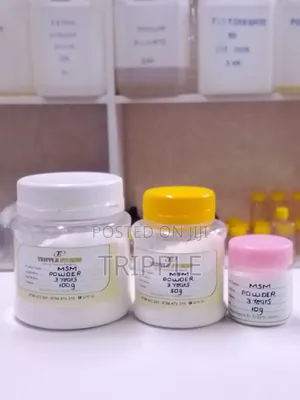 MSM Powder