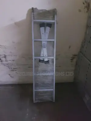 2 by 5 Multi-Purpose Ladder or an Articulated Ladder