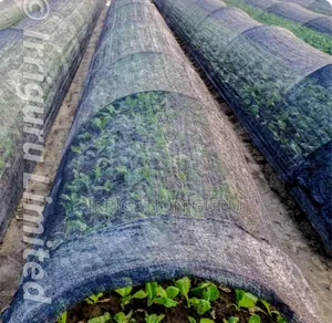 Cool Mesh Netting