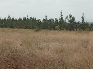 Kag Plot in Korompoi