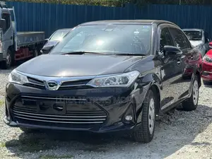 Toyota Axio 2019 Black