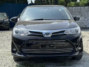 Toyota Axio 2019 Black
