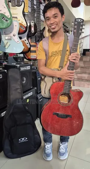 Size 40 Semi Acoustic Box Guitar Quality Bag