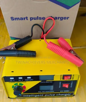 Intelligent Smart Battery Charger 12/24v