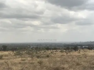 12 Acres Maanzoni Mua