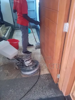 Cockroaches/Bedbugs Elimination