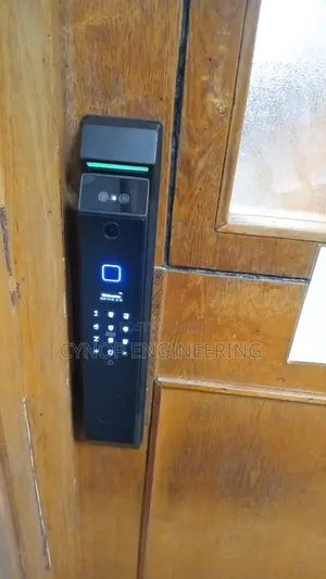 Biometric Smart Locks With Online Passcodes