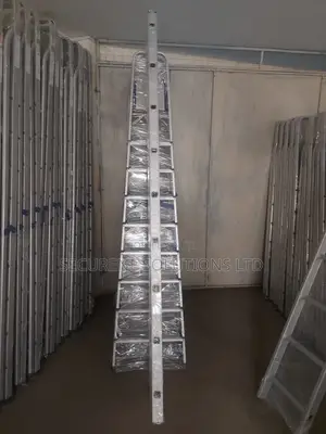 A 9-Step Aluminum Single Ladder
