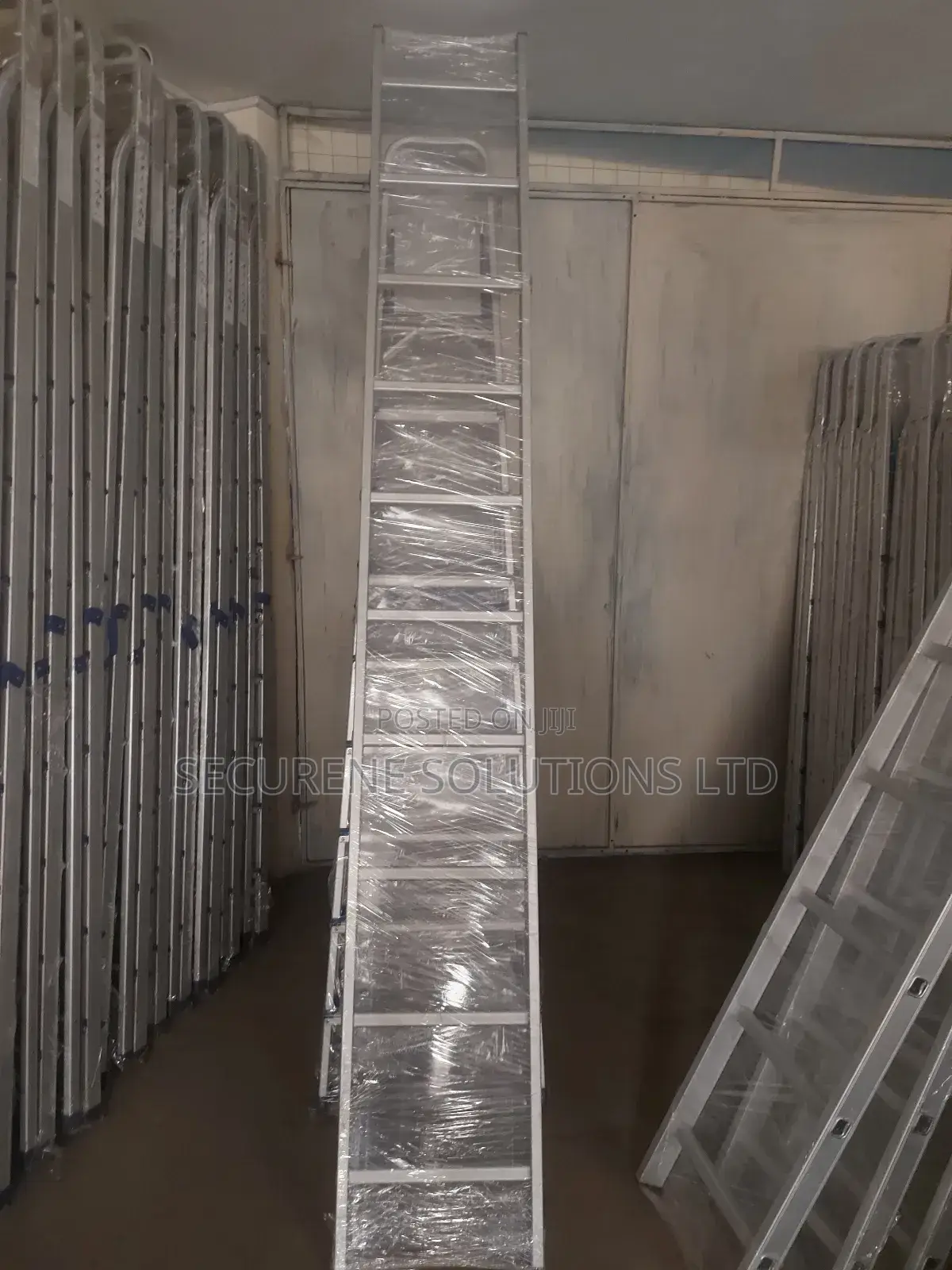 10-Step Aluminum Ladder.