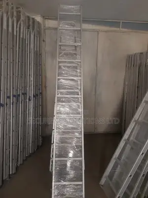 10-Step Aluminum Ladder.