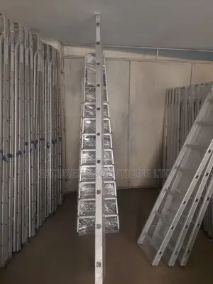 10-Step Aluminum Ladder.