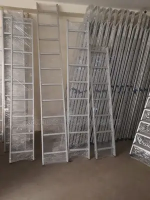 A 9-Step Aluminum Single Ladder