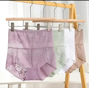 Plus Size Ladies Panties